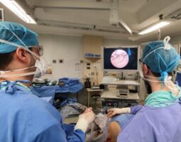 Dr. Felipe Moreira Borges